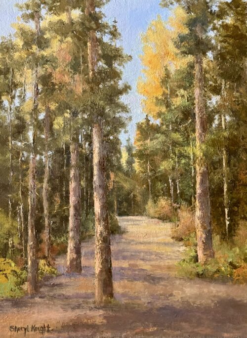 A Walk in the Woods