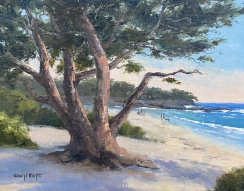 Carmel Cypress
