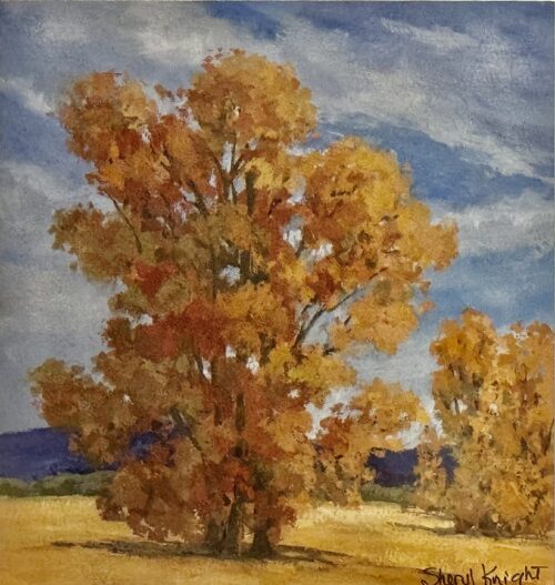 Cottonwoods