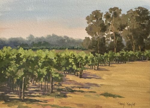 Summer Vineyard